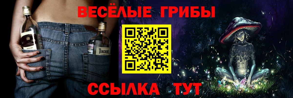 Советская Гавань  Псилоцибиновые грибы Magic Shrooms  Вход с VPN 